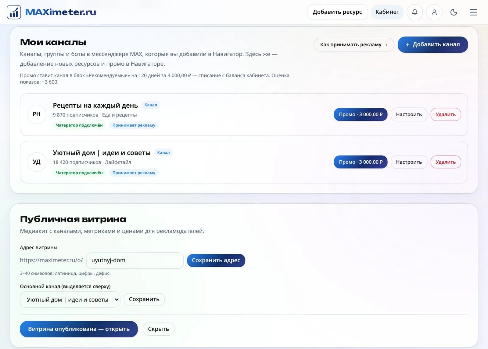 Вкладка «Мои каналы» в кабинете: два канала с отметками «Чатератор подключён» и «Принимает рекламу», кнопки «Настроить» и «Добавить канал»
